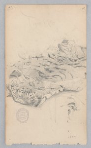虎皮敷物 作： Robert Frederick Blum