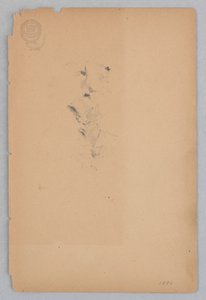 女性 作： Robert Frederick Blum