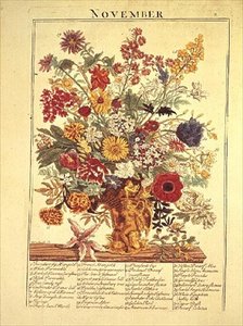 11月には「フラワーガーデン・ディスプレイ」から 作： Robert Furber