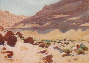 モカタムヒルズのワディ、1880年、1904年 作： Robert George Talbot Kelly