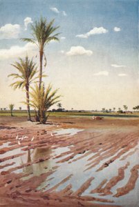 灌漑フィールド、c1880、1904 作： Robert George Talbot Kelly