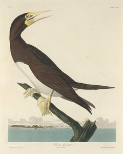 ボビー・ガネット、1834年。