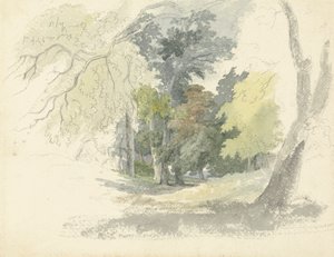 森の空き地 作： Robert Hills