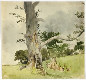 木の下の鹿の家族 作： Robert Hills