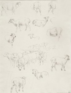 羊の群れ、1794年以降（グラファイト） 作： Robert Hills