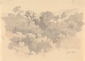 ヴォー、ジャージーで 作： Robert Hills