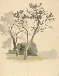 ノール近くのアンダー リバーの果樹園 作： Robert Hills
