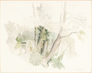 ベディントンの木 作： Robert Hills