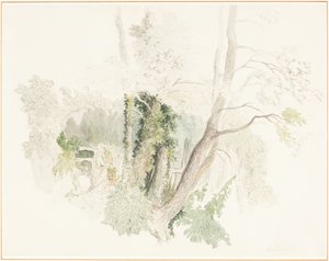  作： Robert Hills