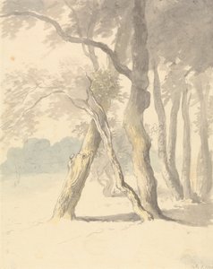 森林研究 作： Robert Hills