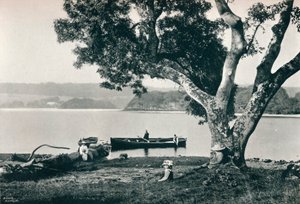教会島、ギル湖、スライゴ、c1908 作： Robert John Welch