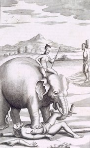 象による処刑、パブ。 1681年。 作： Robert Knox