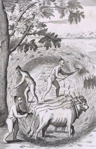 ご飯の炊き方、居酒屋。 1681年。 作： Robert Knox