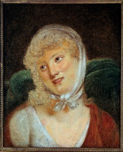ワレフスカ伯爵夫人マリア・ラクシンスカ（1789 - 1817）の肖像。ロベール・ルフェーヴル（1755-1830）による絵画 作： Robert Lefevre
