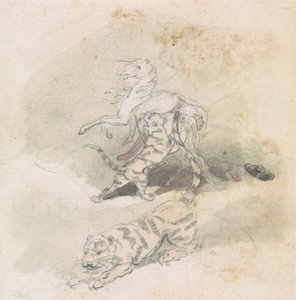 Um tigre atacando um cavalo 作： Robert Mabon