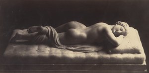 雌雄同体、ca。 1861年。