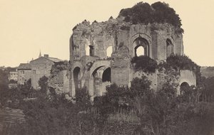 テンプラム ミネルバ メディカとその周辺地域 作： Robert MacPherson