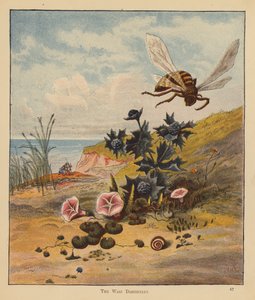 The Kitten Pilgrims: The Wasp Discontent (カラー リソ) 作： Robert Michael Ballantyne