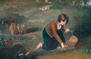 きのこを集める少女、1800年、1917年 作： Robert Mitchell Meadows