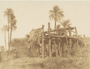 ヌビアのサッキー（水車） 1856年頃