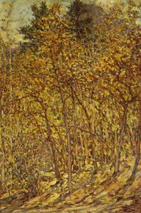 秋の日光 作： Robert Reid