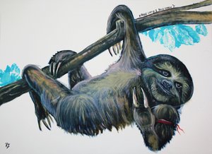 幸せそうなぶら下がりナマケモノ 作： 