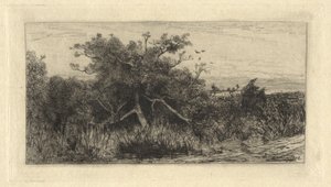 節くれだった木 作： Robert Swain Gifford
