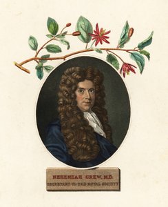 ネヘミヤ・グルー、医師、植物学者の肖像.1809年（彫刻）