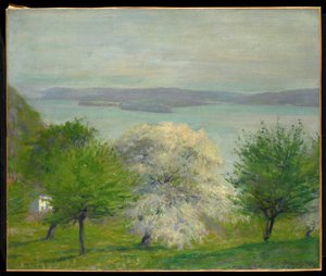 リンゴの花、1903
