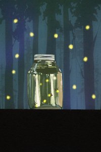 ホタルを追って、2022年（デジタル） 作： Roberta Murray