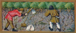 3月-ブドウ畑で働く、15世紀、1939年。