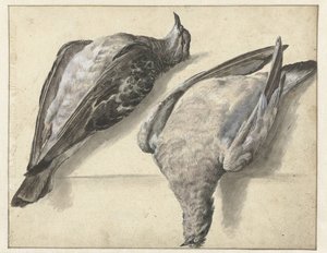 2 つの死んだ鳩 作： Rochus van Veen