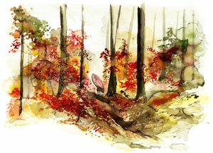 秋の森とサーフィンの旅