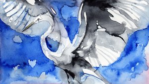飛翔するアオサギ 作： 