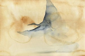 空を舞う幻の鳥 作： RodMacIver