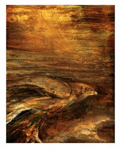  作： RodMacIver