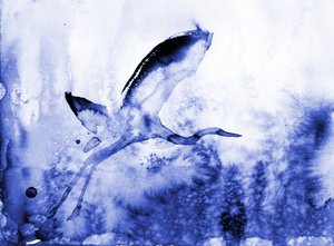 優雅なアオサギ 作： 