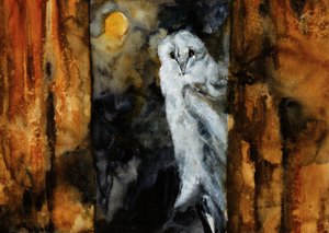 月明かりに照らされたフクロウの抱擁 作： 