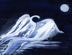 月明かりに照らされた白鳥 作： RodMacIver