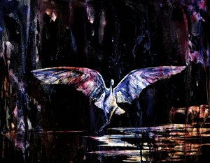 神秘的な夜の飛行 作： RodMacIver