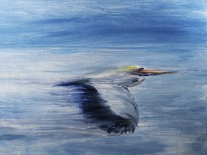 穏やかな鳥の飛翔 作： RodMacIver
