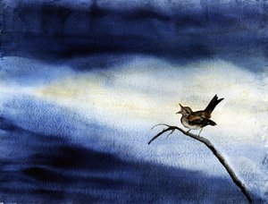 歌う鳥 ダーク・スカイ 作： RodMacIver