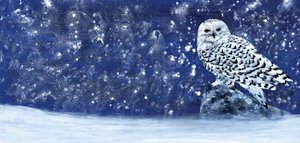 雪の降る夕べ 60×28 作： 