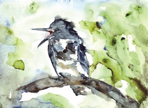 鳴き鳥の水彩画 作： 
