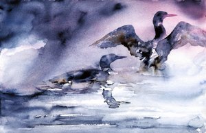 夕暮れの水鳥