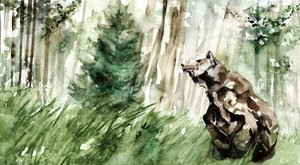 野生の森のクマ