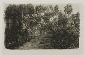 クリーク 作： Rodolphe Bresdin