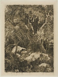 フォンテーヌブローの森 作： Rodolphe Bresdin