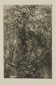 木の枝 作： Rodolphe Bresdin