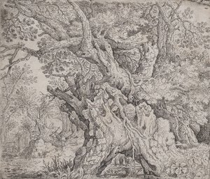 節くれだった木、カリフォルニア州。 1608-09。 作： Roelandt Savery
